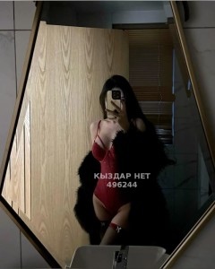 Проститутка Актобе Анкета №496244 Фотография №3741080